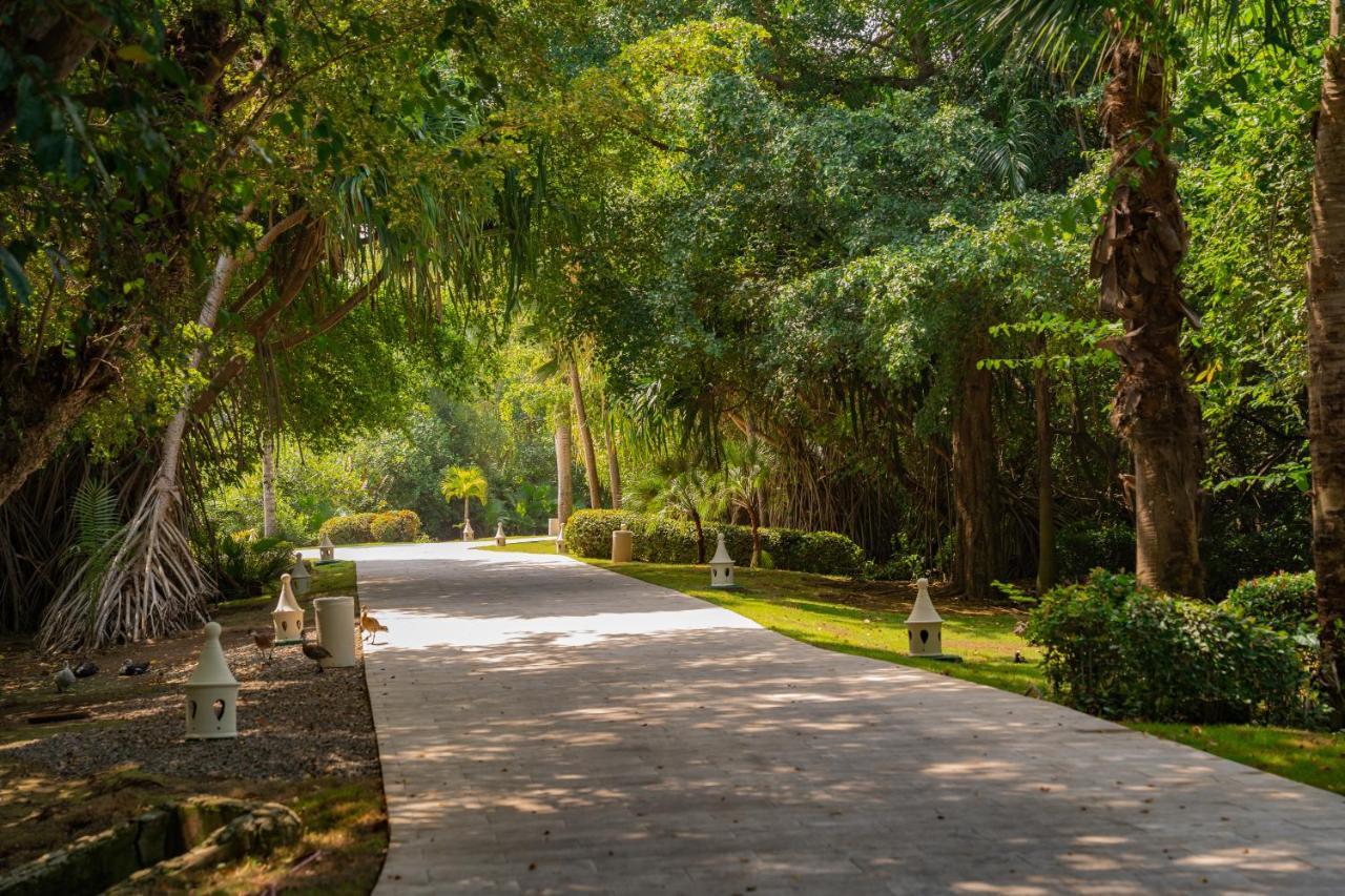 Caribe Deluxe Princess Punta Cana Ngoại thất bức ảnh San Anton Park